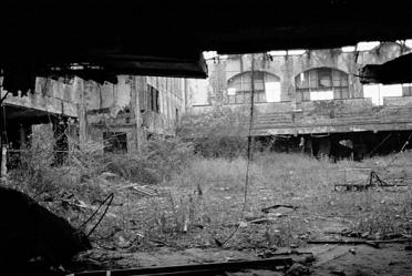 The Casino