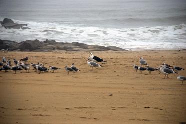 Jersey Shore