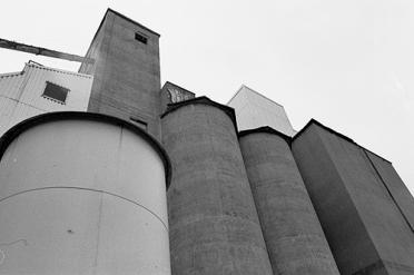 Buffalo Malting