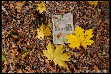 Outside the Bookstore