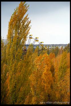 Amusement Park