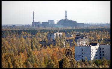 Plant View