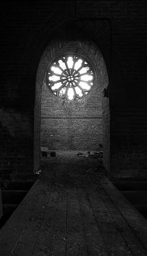 Transfiguration