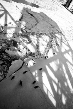 Shadows