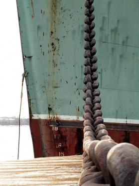 Marine Star