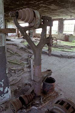 REA Terminal