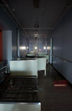 Nursing Home